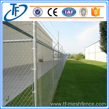 chain-link fences dog kennel